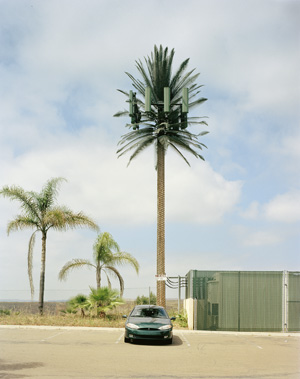 Lot 4321, Auction  119, Voit, Robert, Summer Glow Ave., Las Vegas from the series 'New Trees'
