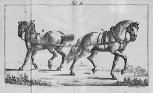 Lot 441a, Auction  120, Kegel, Karl, Ueber den Umgang mit Pferden, und neueste Art, die wildesten