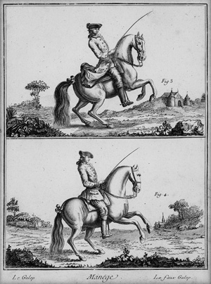Lot 448, Auction  120, Diderot, Denis und Pferde, Pferdedarstellungen aus der Encyclopédie. 