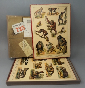 Lot 459, Auction  120, Weise, Gustav, Naturgeschichte in Bildern