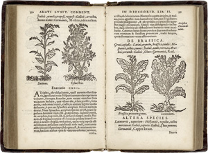Lot 1045, Auction  120, Dioscorides, Pedanius, De medica materia libros