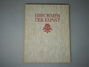 Lot 3899, Auction  120, Blossfeldt, Karl, Urformen der Kunst