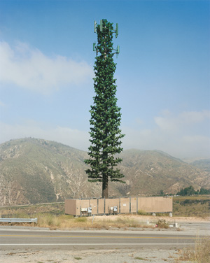 Lot 4336, Auction  120, Voit, Robert, "City Creek Rd, Mentone, California"; "Scottsdale, Arizona" and "Mosselrivier Hermanus, South Africa" from the series 'New Trees'