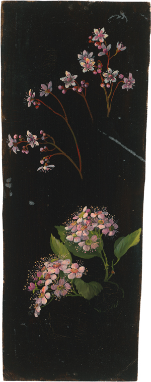 Lot 6780, Auction  120, Dänisch, 19. Jh. . Blüten einer rosa Spiere