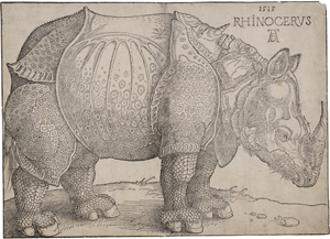 Lot 5072, Auction  121, Dürer, Albrecht, Das Rhinozeros