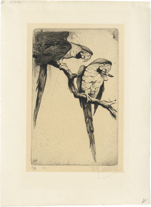 Lot 5346, Auction  121, Kuhnert, Wilhelm, Zwei Ara-Papageien