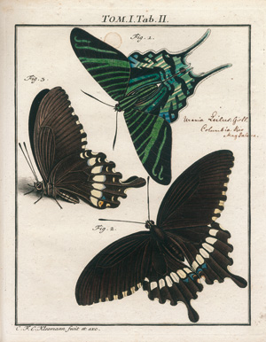 Lot 393, Auction  122, Rösel von Rosenhof, August Johann, Der monatlich herausgegebenen Insecten-Belustigung 