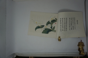 Los 453 - Qi Baishi - Album mit Blumen und Blüten. Peking, Guójì Shûdiàn, 1954 - 4 - thumb