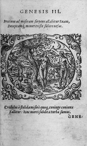 Los 1250 - Bilderbibel - Bibliorum utriusque testamenti icones, summo artificio expressae, historias sacras ad vivum exhibentes - 0 - thumb