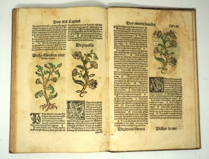 Los 1272 - Brunschwig, Hieronymus - Das neüwe Distilier buoch Der rechten kunst, von Meister Jeronimo Brunschwig colligiert, zu distilieren, uß allen Kreütern  - 3 - thumb