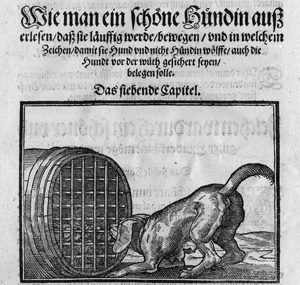 Los 1306 - Du Fouilloux, Jacques - New Jägerbuch: Jacoben von Fouilloux - 1 - thumb