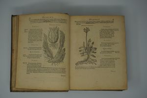 Los 1423 - Mattioli, Pietro Andrea und Calzolari, Francesco - De plantis Epitome vtilissima - und Calzolari. Iter Baldi - 2 - thumb