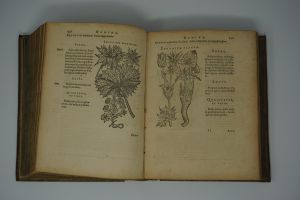 Los 1423 - Mattioli, Pietro Andrea und Calzolari, Francesco - De plantis Epitome vtilissima - und Calzolari. Iter Baldi - 3 - thumb
