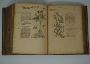 Los 1423 - Mattioli, Pietro Andrea und Calzolari, Francesco - De plantis Epitome vtilissima - und Calzolari. Iter Baldi - 4 - thumb