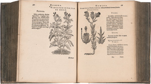 Lot 1423, Auction  122, Mattioli, Pietro Andrea und Calzolari, Francesco, De plantis Epitome vtilissima - und Calzolari. Iter Baldi