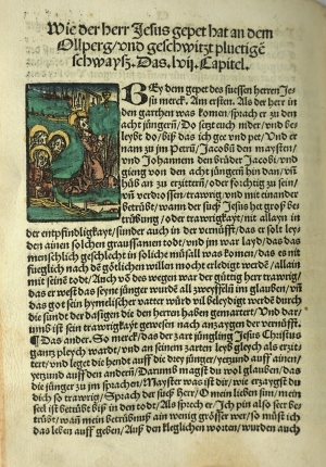 Los 1427 - Meyer, Daniel - Das leben vnsers erledigers Jesu Christi - 8 - thumb