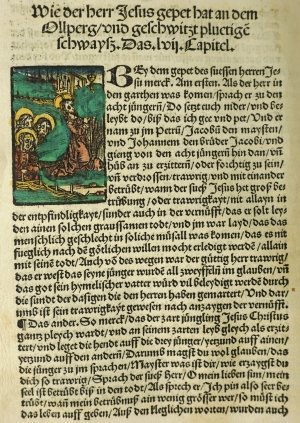 Los 1427 - Meyer, Daniel - Das leben vnsers erledigers Jesu Christi - 12 - thumb