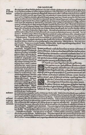 Los 1494 - Suetonius Tranquillus, Gaius - XII Caesares, cum Philippi Beroaldi. Venedig 1506 - 2 - thumb