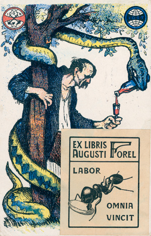 Lot 2353, Auction  122, Forel, Auguste, Illustrierte Postkarte