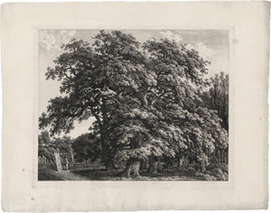 Lot 5307, Auction  122, Kolbe, Carl Wilhelm, Vier Eichen vor einem Holzzaun