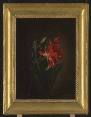 Los 6060 - Orban, Octavie - Orchideenkaktus mit roter Blüte - 1 - thumb