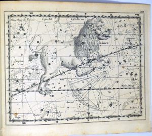 Los 338 - Bode, Johann Elert - Vorstellung der Gestirne - 9 - thumb