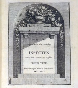 Los 400 - Sulzer, Johann Heinrich - Abgekürzte Geschichte der Insecten nach dem Linnaeischen System - 3 - thumb