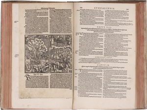 Los 2494 - Biblia germanica - Biblia beyder Allt und Newen Testaments Teutsch - 0 - thumb