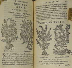 Los 2518 - Dioscorides, Pedanius - De medicinali materia libri sex - 0 - thumb