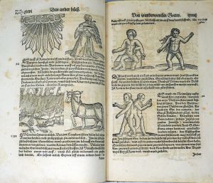 Los 2555 - Lykosthenes, Konrad - Wunderwerck oder Gottes unergründtliches Vorbilden - 4 - thumb