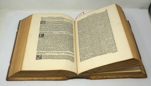 Los 2590 - Rhodiginus, Lodovico - Lectionum antiquarum Libri XVI - 5 - thumb