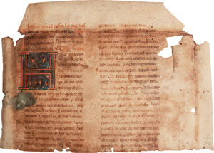 Los 2837 - Homiliarium - Hälfte eines Einzelblattes aus einer lateinischen Handschrift auf Pergament - 0 - thumb