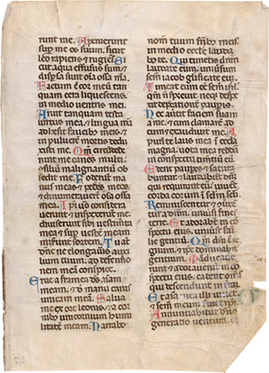 Los 2858 - Breviarium - Einzelblatt einer lateinischen Handschrift auf Pergament - 0 - thumb