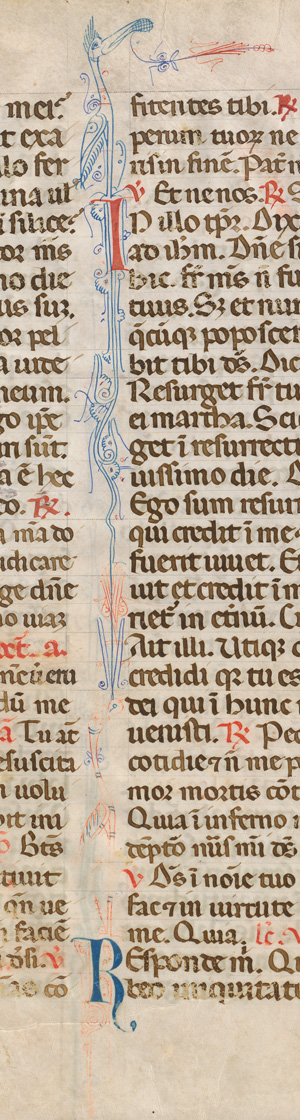Los 2859 - Breviarium - Einzelblatt einer lateinischen Handschrift auf Pergament - 1 - thumb