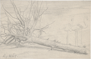 Lot 6422, Auction  123, Müller, Richard, Uferpartie mit Flamingos und entwurzeltem Baum