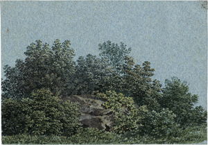 Lot 6653, Auction  123, Schütze, Ludwig, Partie bei Weesenstein im Müglitztal: Sträucher und ein Felsenblock vor blauem Himmel