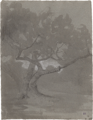 Lot 6722, Auction  123, Appian, Louis, Studie eine knorrigen Baumes