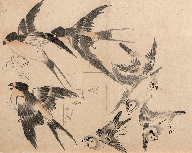 Lot 431, Auction  123, Bairei, Kôno, Skizzenblatt mit Darstellungen von Vögeln. Zweifarbige Gouache und Pinselzeichnung 