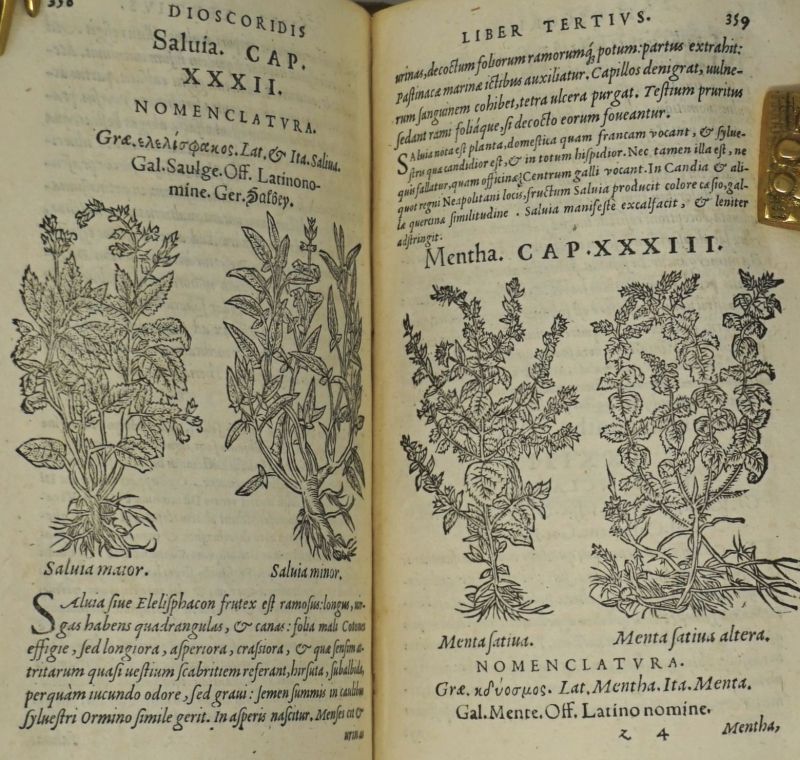 Lot 2518, Auction  123, Dioscorides, Pedanius, De medicinali materia libri sex