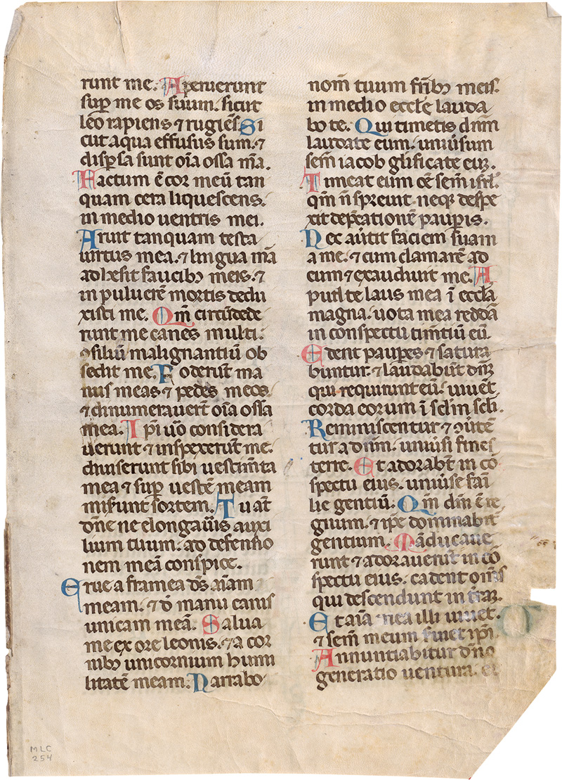 Lot 2858, Auction  123, Breviarium, Einzelblatt einer lateinischen Handschrift auf Pergament