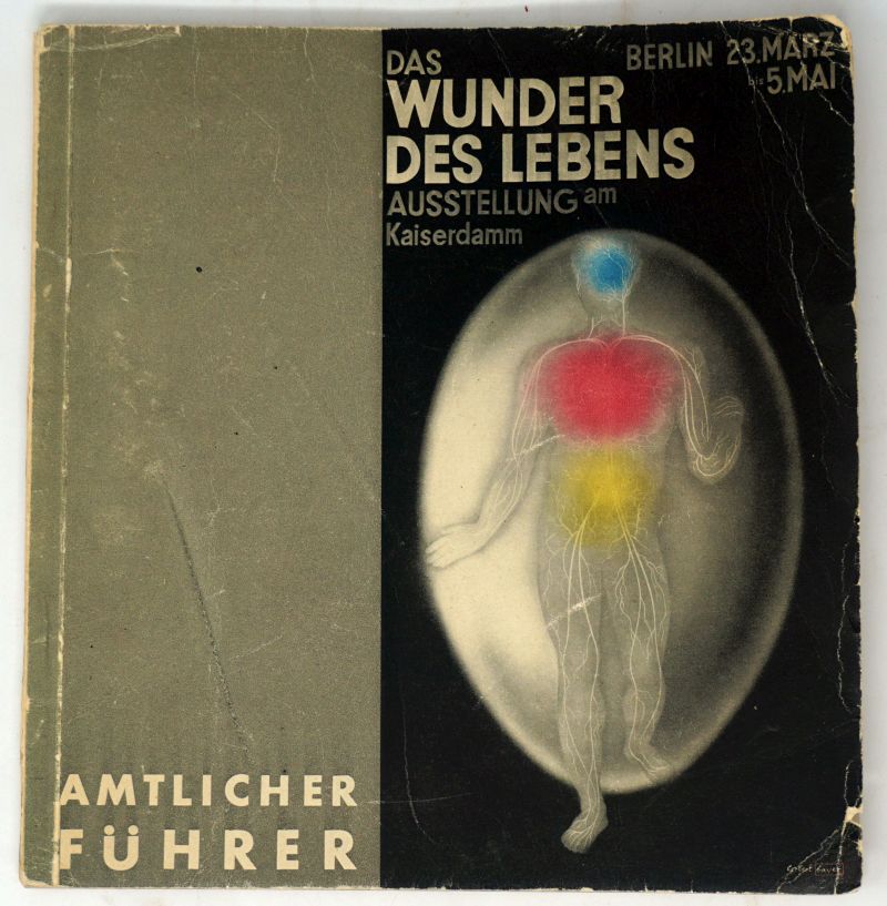 Lot 3813, Auction  123, Wunder des Lebens, Das und Bayer, Herbert - Illustr., Amtlicher Führer durch die Ausstellung