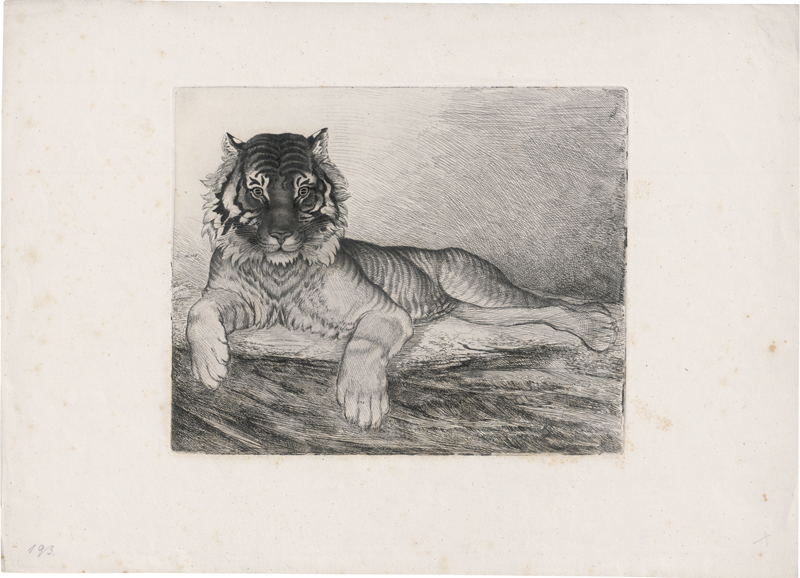 Lot 5303, Auction  123, Grimm, Ludwig Emil, Tiger