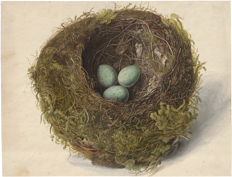 Lot 6604, Auction  123, Deutsch oder Österreichisch, um 1800. Vogelnest mit drei gesprenkelten Eiern