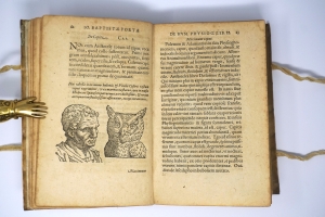 Los 329 - Della Porta, Giambattista - De humana physiognomonia libri IIII - 5 - thumb