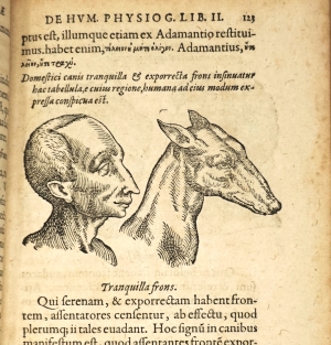 Los 329 - Della Porta, Giambattista - De humana physiognomonia libri IIII - 7 - thumb