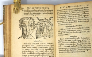 Los 329 - Della Porta, Giambattista - De humana physiognomonia libri IIII - 8 - thumb