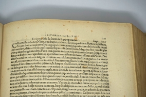 Los 362 - Plinius Secundus, Gaius d. Ä. - Historiae mundi libri XXXVII - 7 - thumb