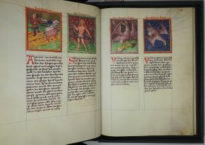 Los 552 - Macht der Gestirne - Aus der Universitätsbibliothek Heidelberg. Cod. Pal. germ. 832 - 3 - thumb