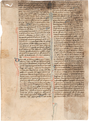 Los 832 - Azo von Bologna - Lateinische Handschrift auf Pergament. Summa azonis super codicem - 0 - thumb