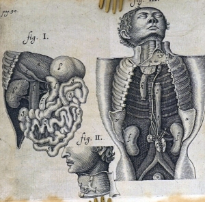 Lot 1001, Auction  124, Bartholin, Thomas, Historiarum anatomicarum rariorum